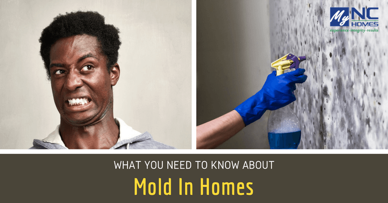 buying homes with mold and mildew